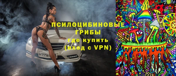 индика Алексин