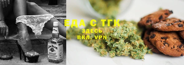 индика Алексин
