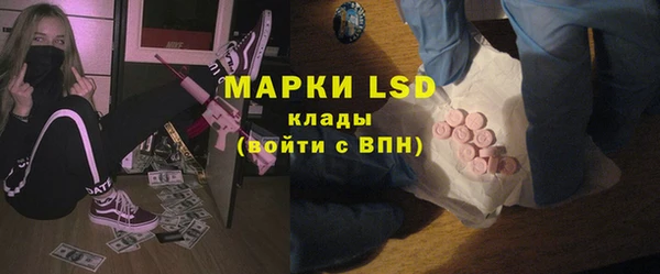 индика Алексин