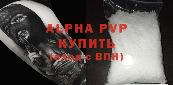 индика Алексин