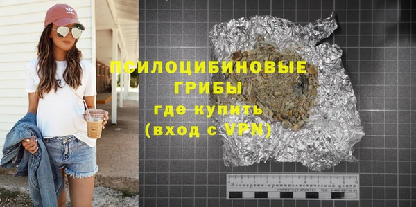 ГАЛЛЮЦИНОГЕННЫЕ ГРИБЫ Алзамай