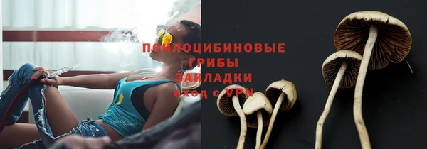 индика Алексин