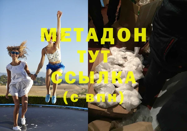 индика Алексин