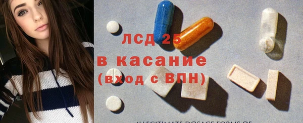 ГАЛЛЮЦИНОГЕННЫЕ ГРИБЫ Алзамай