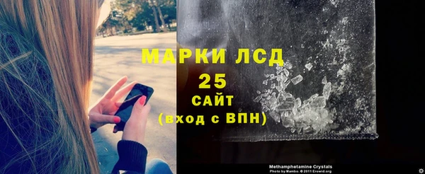 индика Алексин