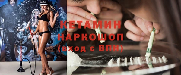 индика Алексин