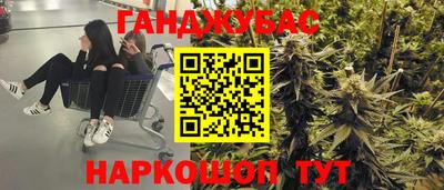 прущие крисы Гатчина