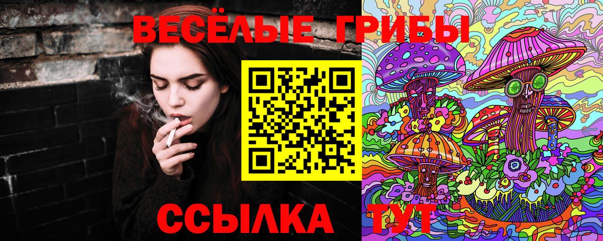 Псилоцибиновые грибы прущие грибы Сухой Лог
